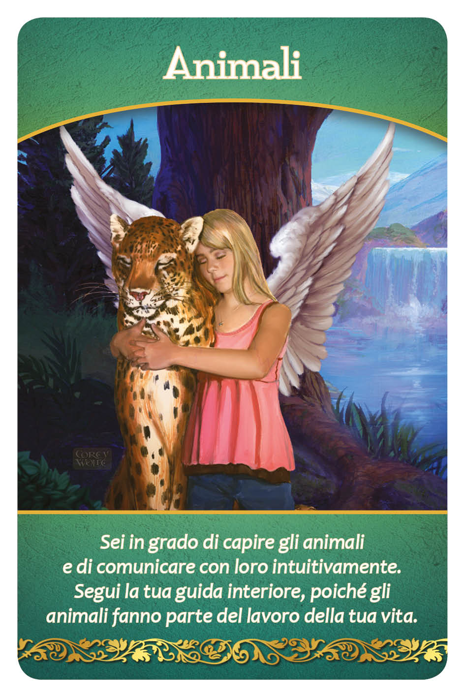 fronte